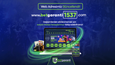 Bg 1537